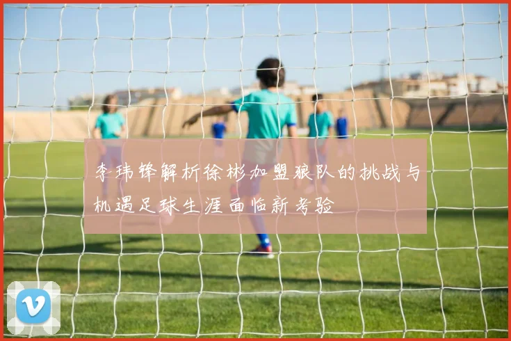 李玮锋解析徐彬加盟狼队的挑战与机遇足球生涯面临新考验